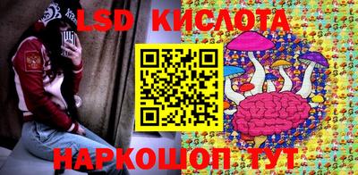 винт Камышлов