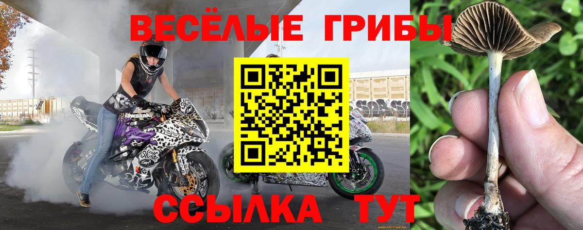Галлюциногенные грибы ЛСД  Вход с VPN  Кулебаки 